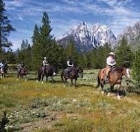 Guided horseback riders on a trail through wildflowers below the Grand Tetons